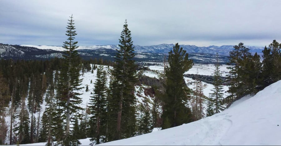 Aerial view of snow-covered mountains with pine trees around.