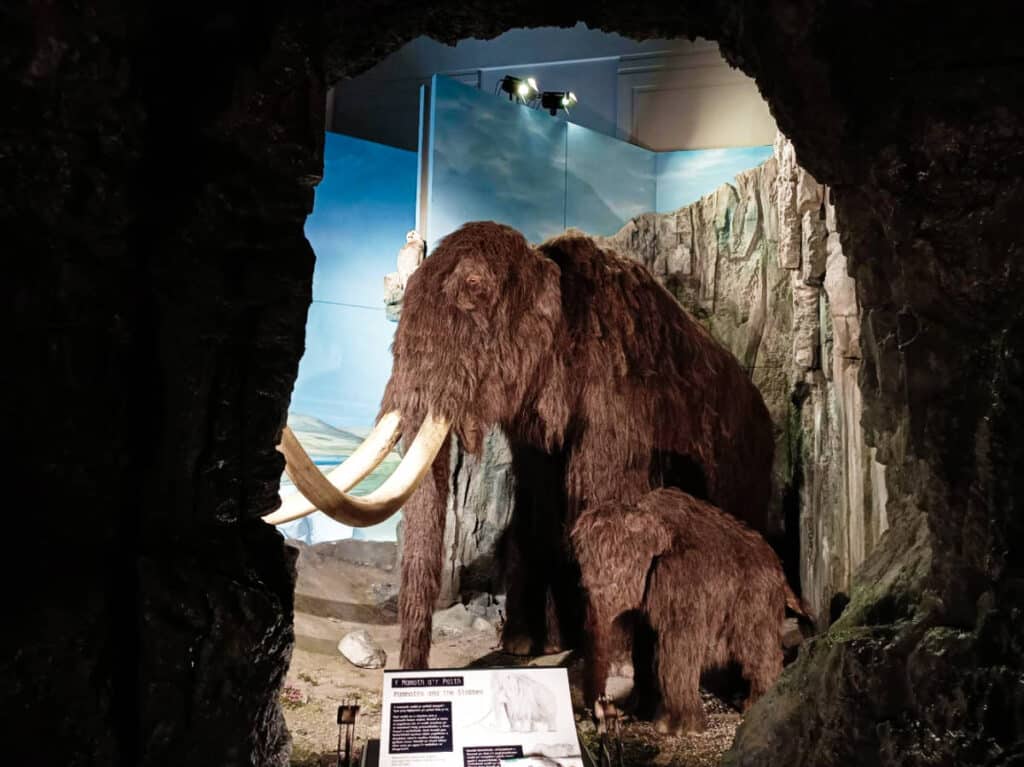 A big and small mammoth sculptures displayed in the National Museum