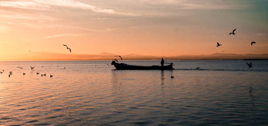 A man boating at the Albufera lagoon with birds flocking around at sunset