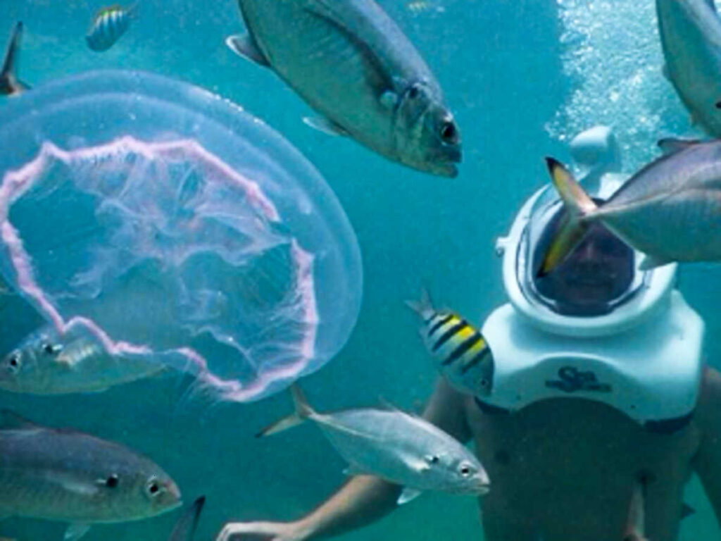 A man helmet diving with the fishes and jellyfish
