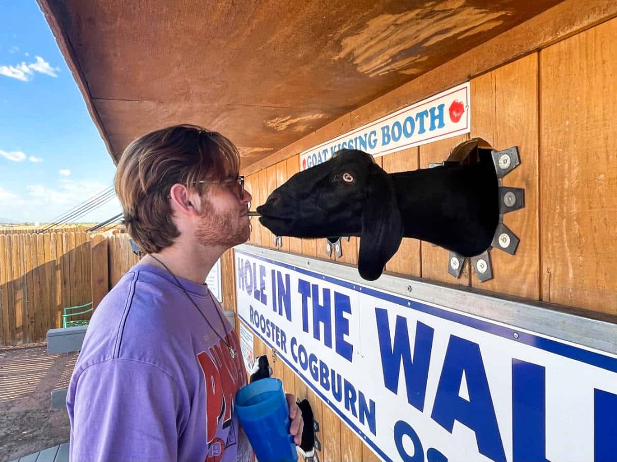 A man feeding the goat with his mouth