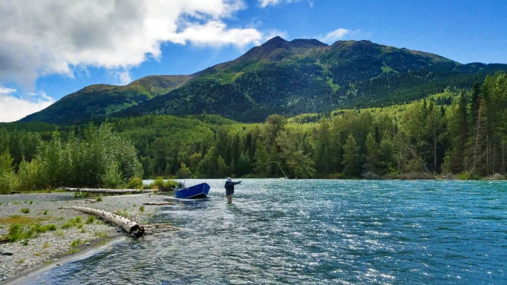 A man fishing at the Kenai River on a sunny day