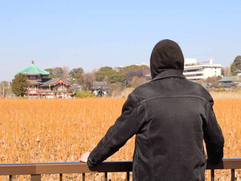 A man looking at the Nezu Shrine from a distance