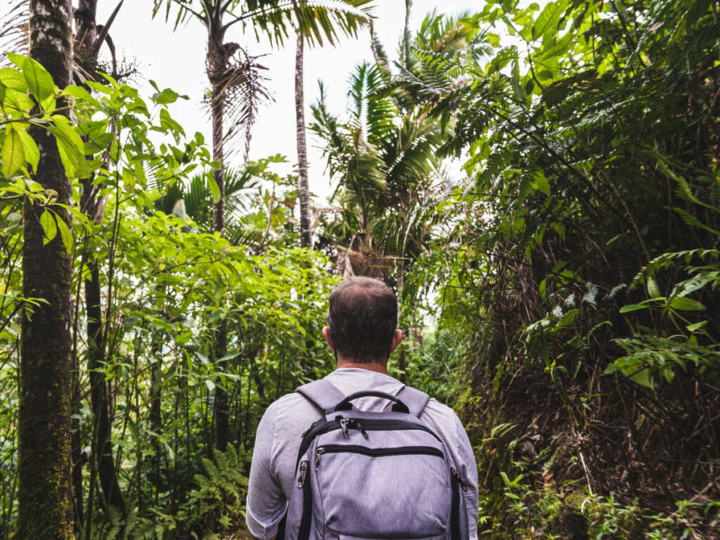 A man hiking in the rainforest of El Yunque
