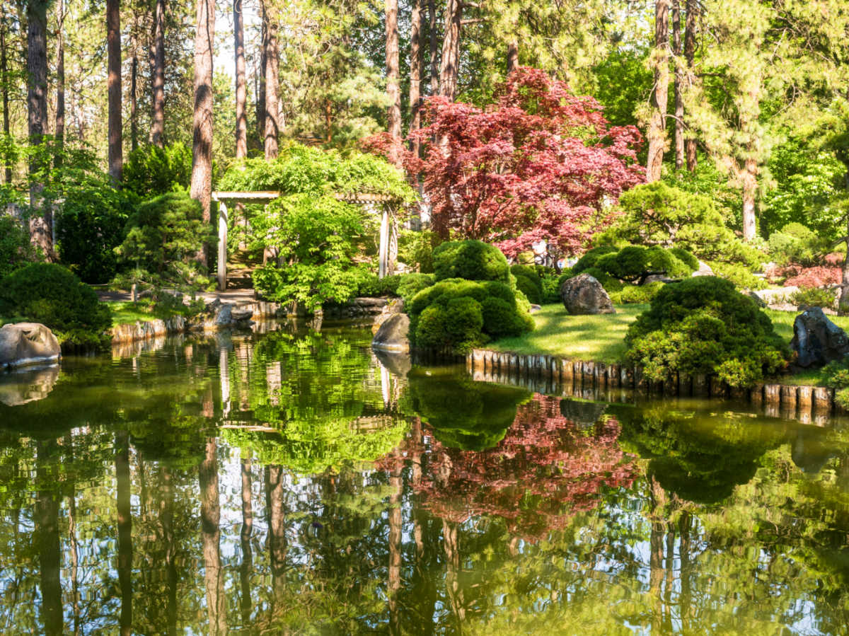 Panoramic view of the lush greenery reflecting on the lake at Nishinomiya Tsutakawa Japanese Garden in Manito Park