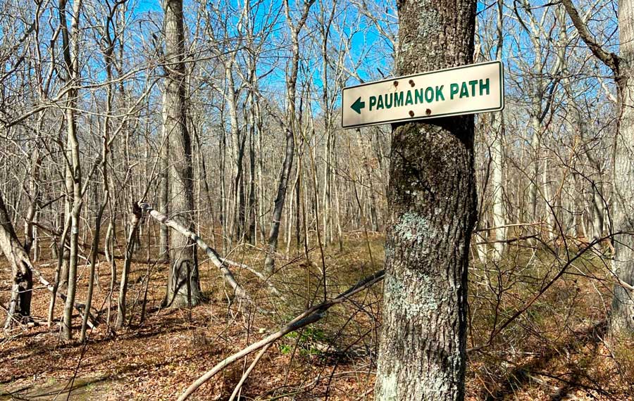 A trail sign going to Paumanok Path in Manorville Hills County Park