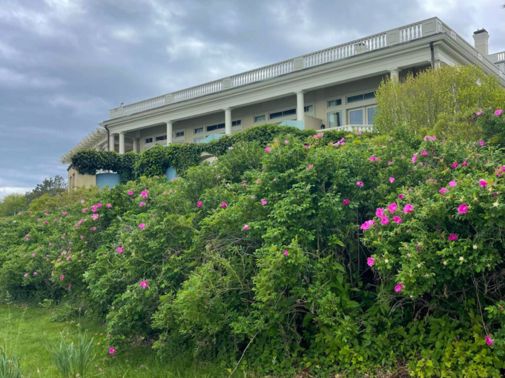 View of the mansions on the Cliff Walk in Newport