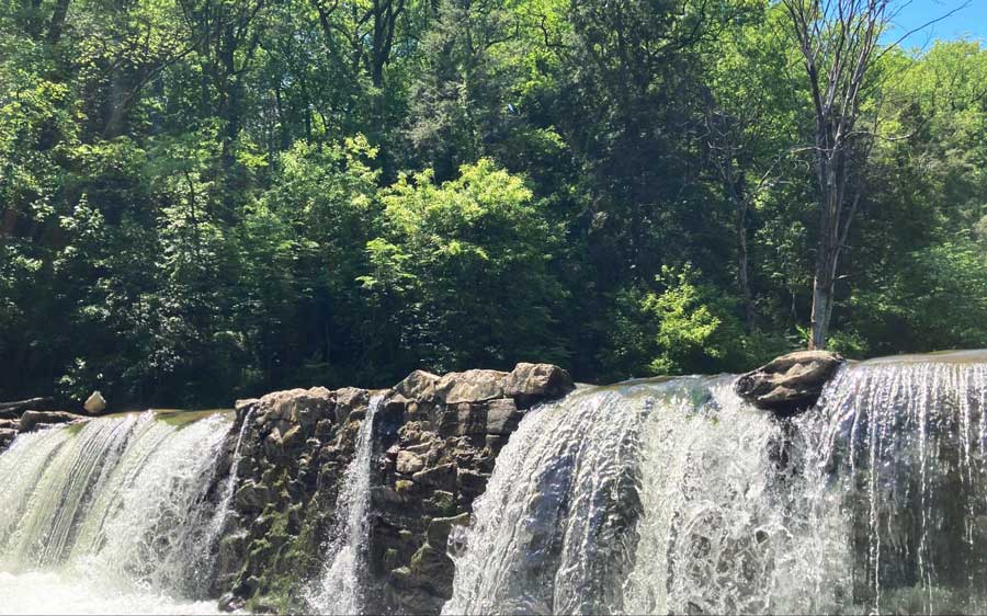 The Margaree Dam surrounded by trees in the Wissahickon Creek