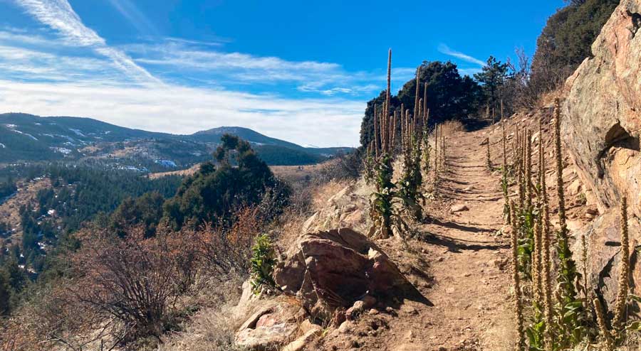 View at the Maryland Mountain peak during a sunny morning