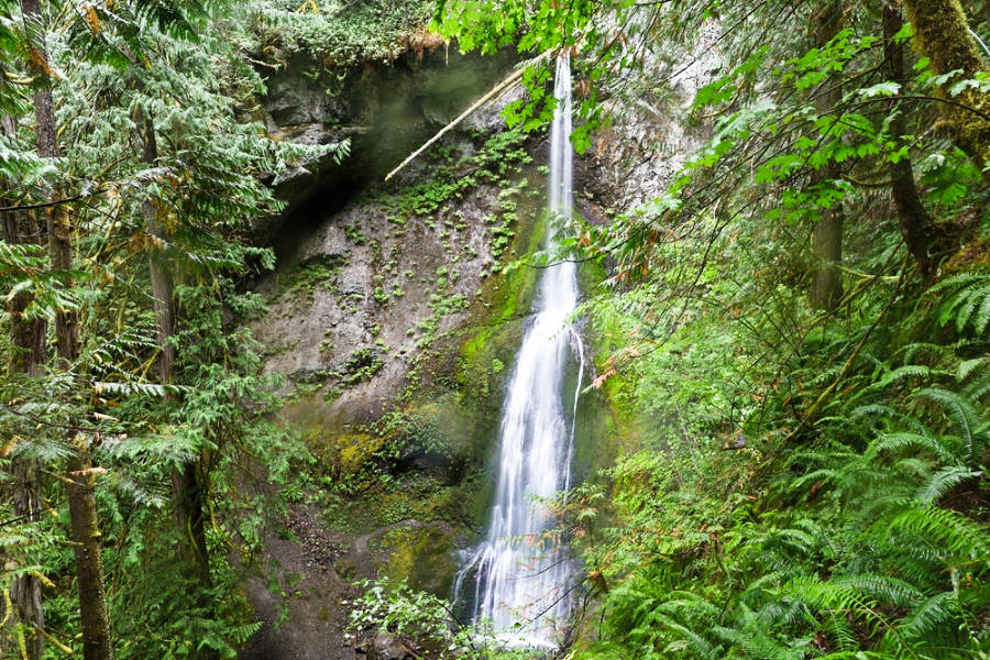 A narrow and long Marymere Falls cascades down the mountain in the middle of a forest