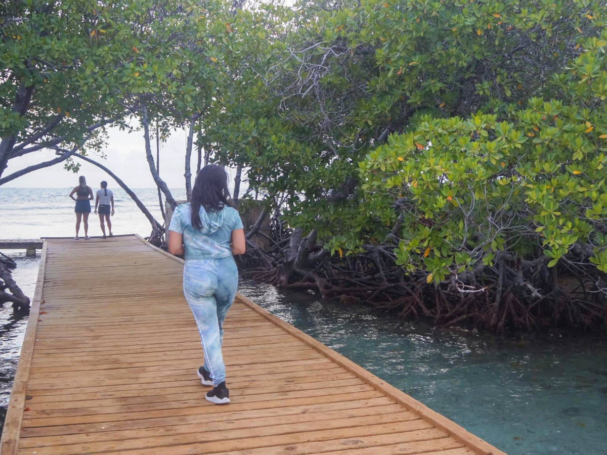 The author Vanessa Ramos wandering in Mata La Gata