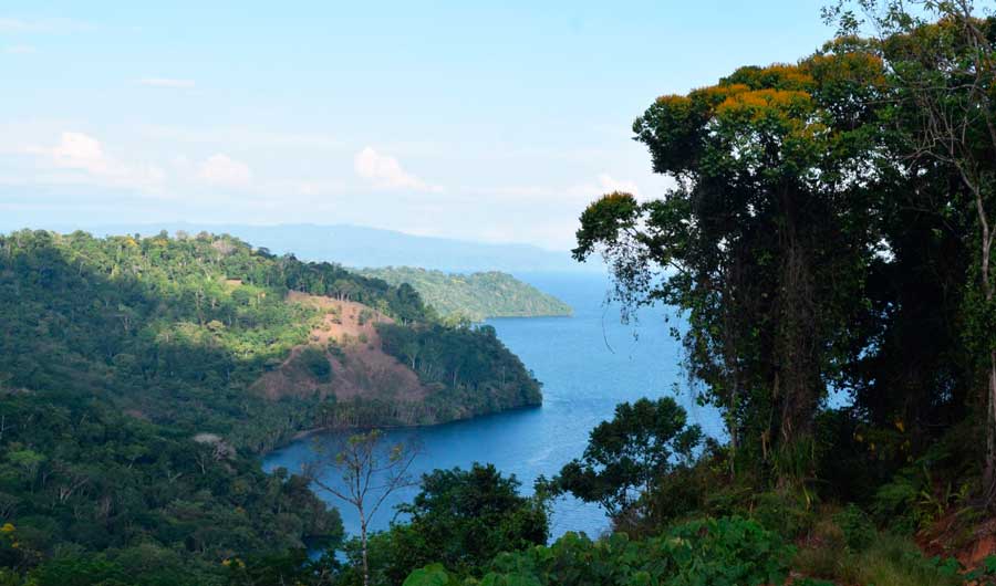 Overlooking view of the nature in Matapalo, Osa