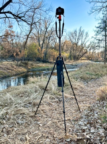 A DSLR mounted on the maximum height of GEEKOTO 77’’ Compact Aluminum Tripod with a counterweight