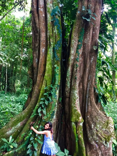 The author McKenna Mobley, hugging the huge tree at the Limon Jungle