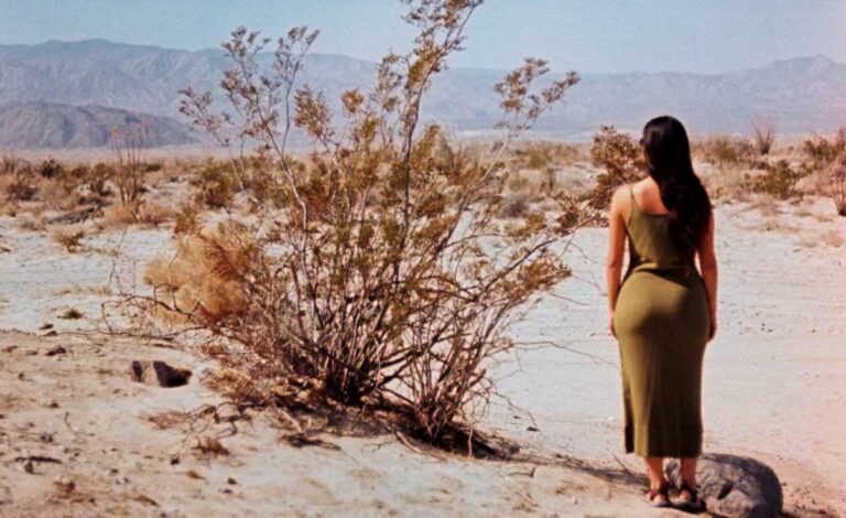 The author admiring the view in Anza-Borrego Desert State Park