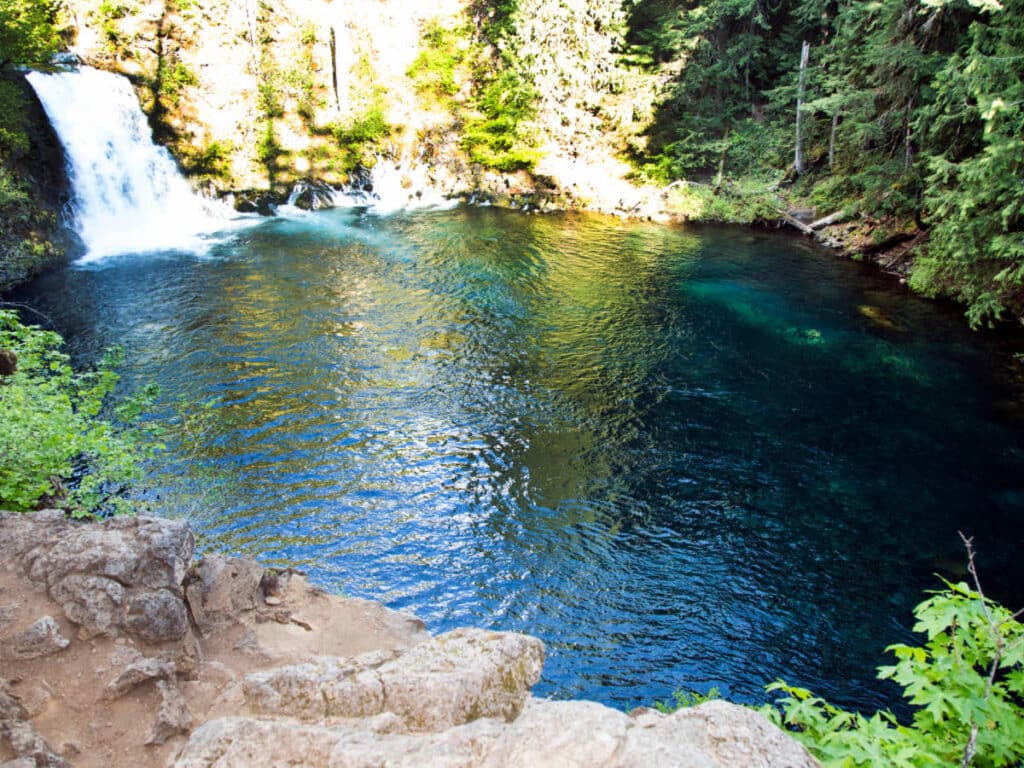 Scenic view from a pool at the McKenzie River Trail