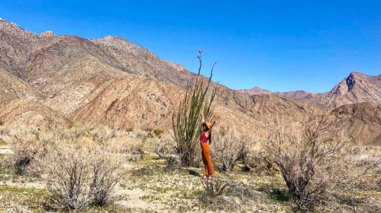 The author Mckenna Mobley, enjoying at the desert on a sunny day