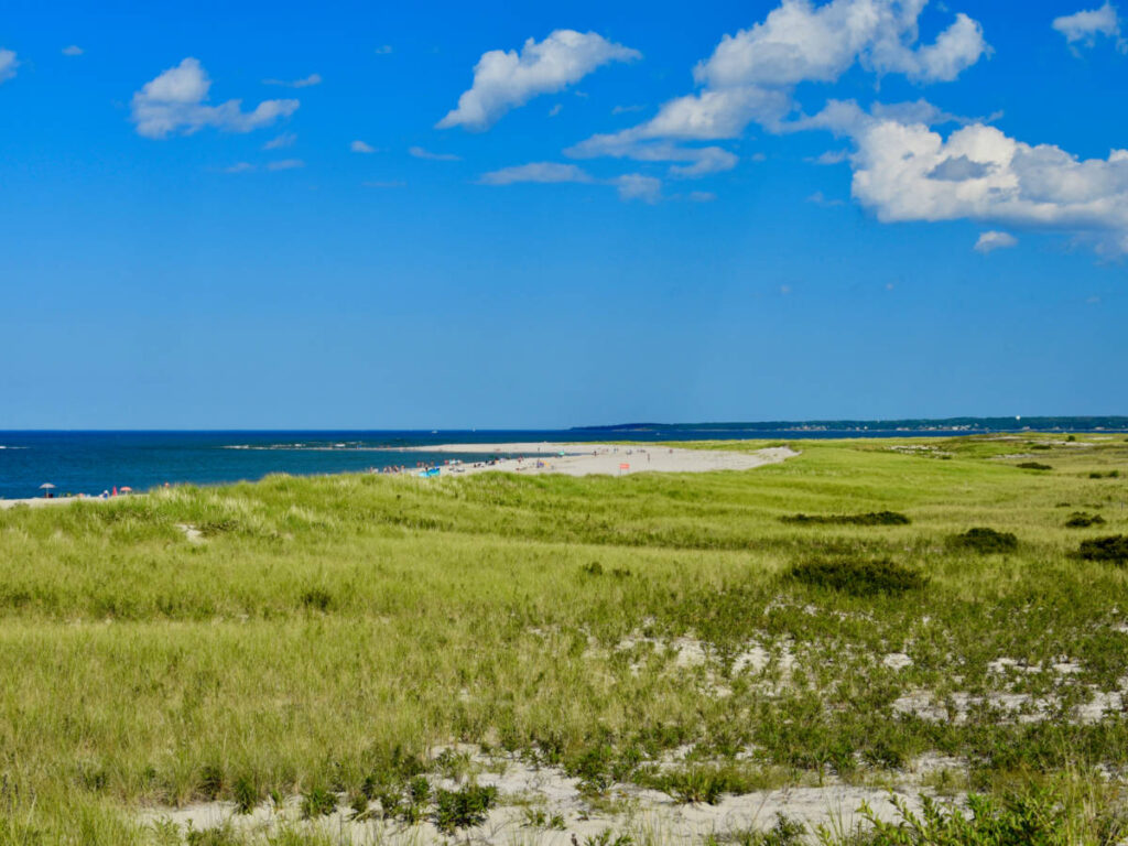 View of the vast greenery. white sand beach and the clear blue sky at the Crane Beach
