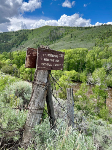 Signage of the Medicine Bow-Routt National Forest