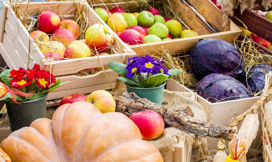 Fruits and vegetables on a stand in Oceanside