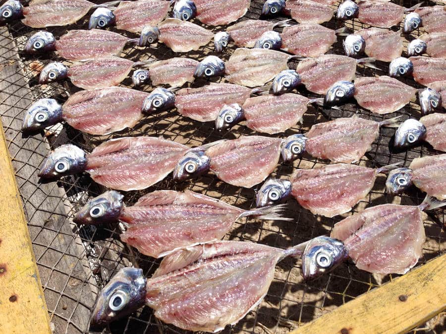 Fishes being dried under the sun in Nazare