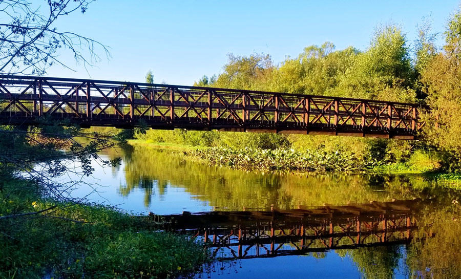 View of a bridge and its reflection in Mercer Slough Nature Park