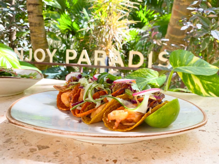 Tacos filled with fillings on a plate
