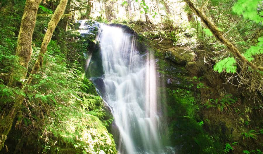 Breathtaking view of Merriman Falls with rays of the sun in the rainforest of Washington