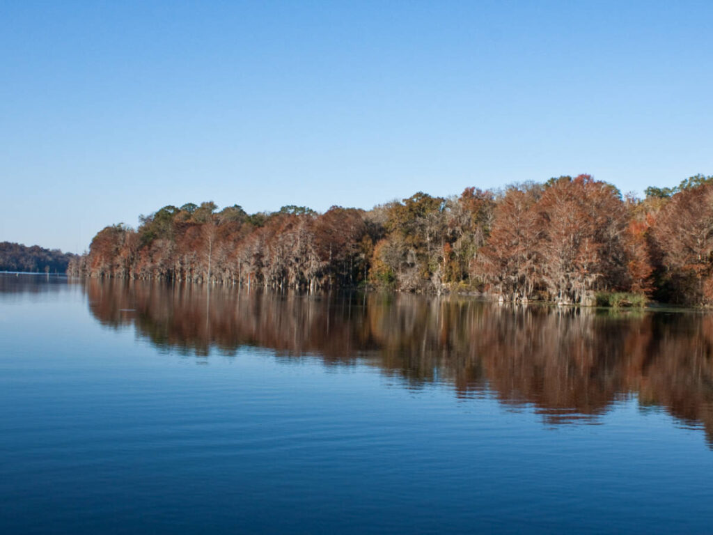The fall foliage reflecting on the Merritts Mill Pond