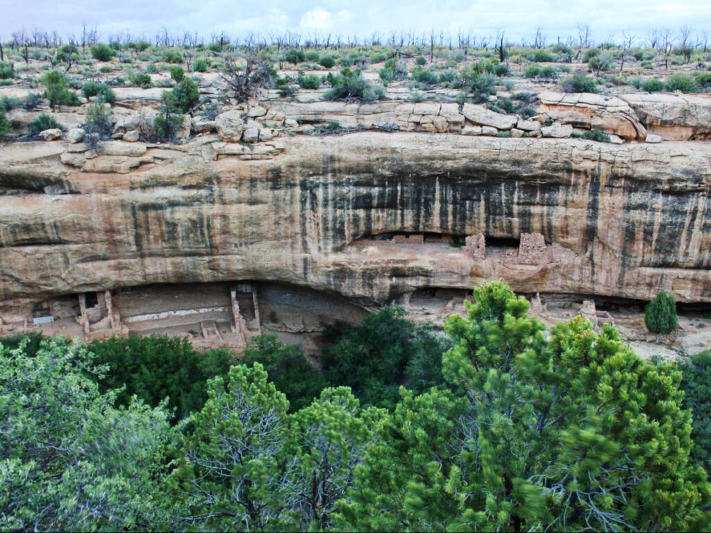 View during a drive near Mesa Verde National Park