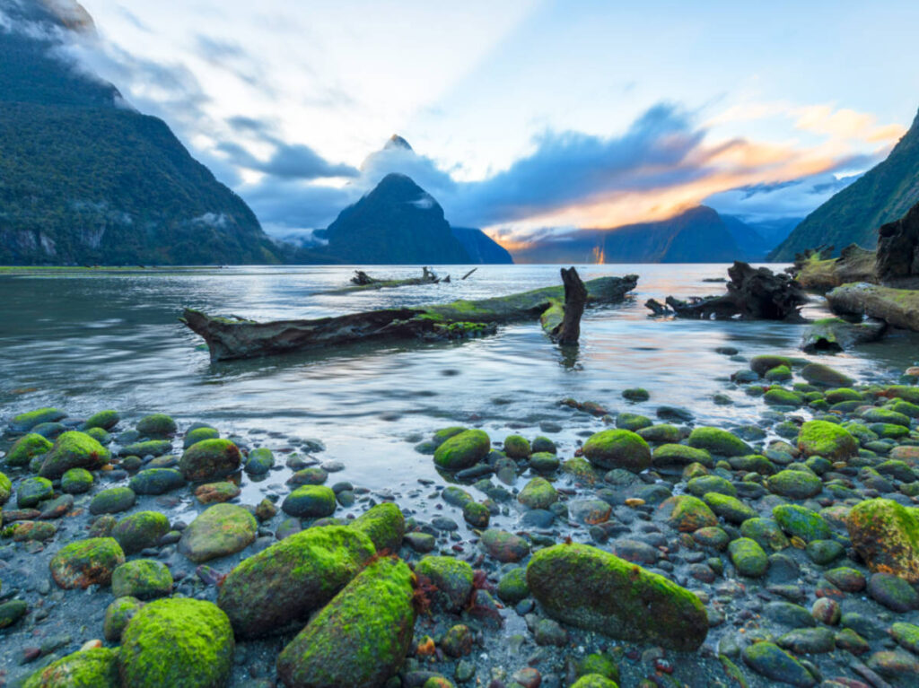 View of the mossy rocks at Milford Sound in Fiordland National Park during sunset