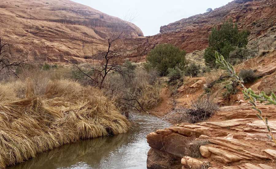 View from the Mill Creek Trail
