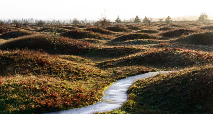 View of a trail at the Mima Mounds Natural Area Preserve