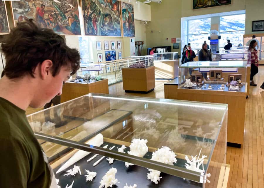 A man looking at the gems and minerals in the Mines Museum of Earth Science