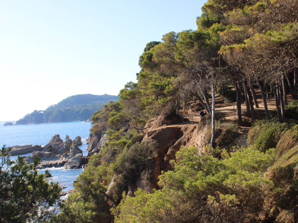 View of the cliffside of Mirador de la Platja Fenals overlooking the water