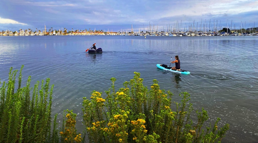 View of people enjoying paddle boarding in Mission Bay