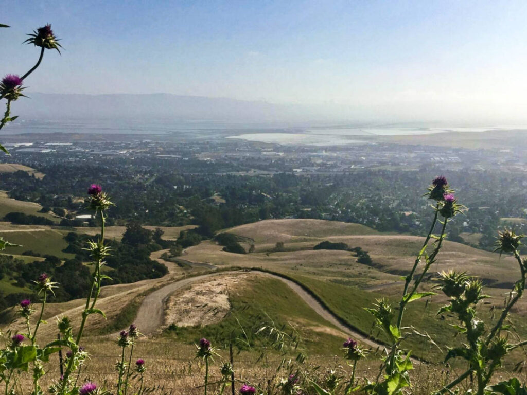 Overlooking view of Fremont from the Mission Peak Regional Preserve
