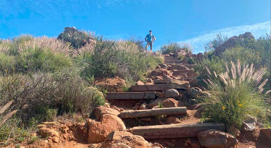 A man standing at the top of Mission Trails Regional Park