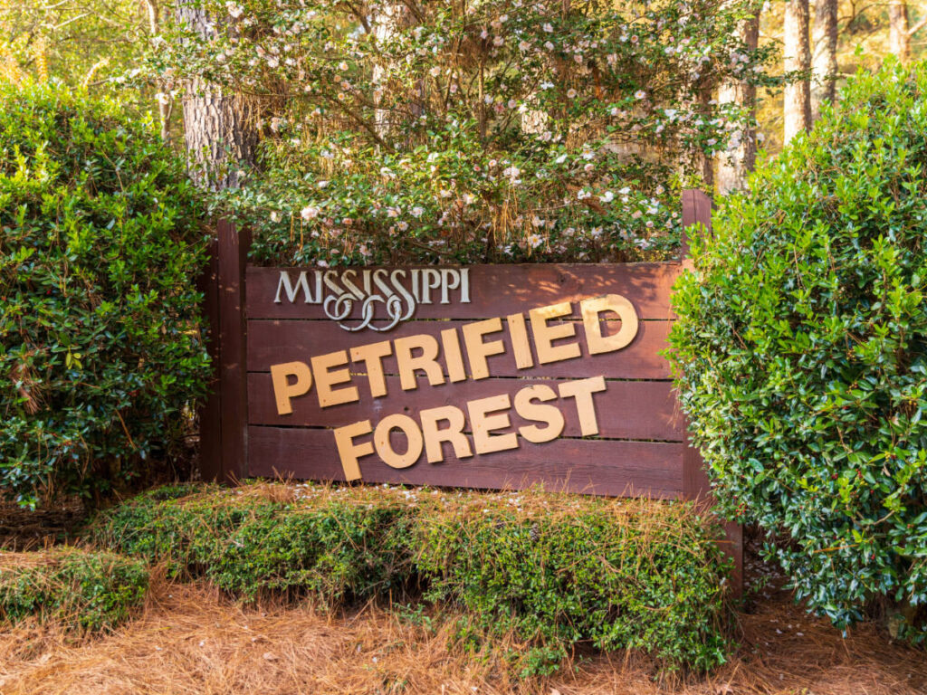 View of the signage at the entrance of Mississippi Petrified Forest