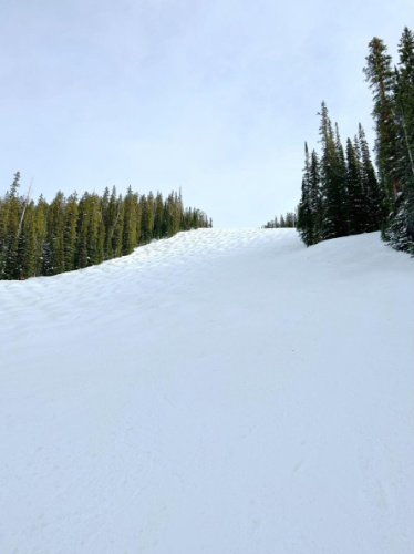 View of a mogul terrain in Vail