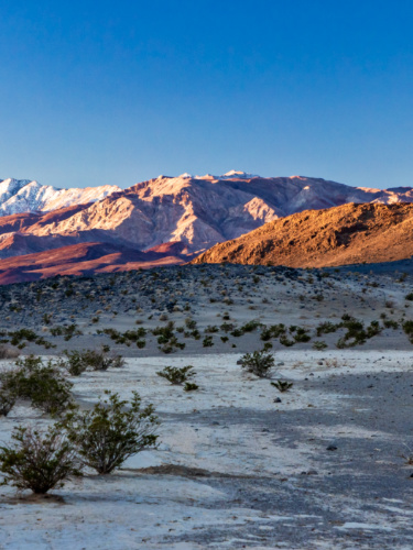 Panoramic view of the Mojave Desert at sunset