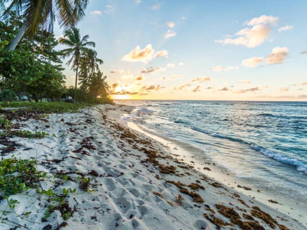 Picturesque sunrise view at the Sardinera Beach on Mona island