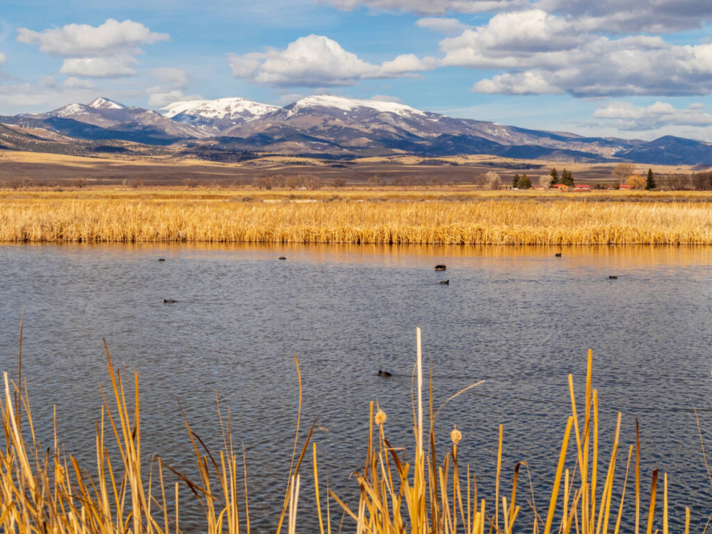 Scenic view at the Monte Vista National Wildlife Refuge in Colorado