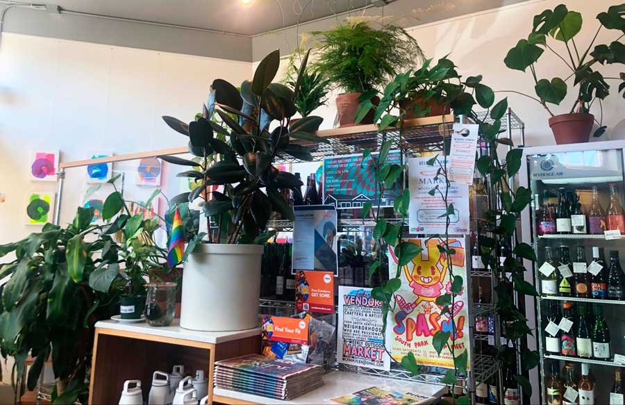View of plants from the inside of Moonshot Coffee