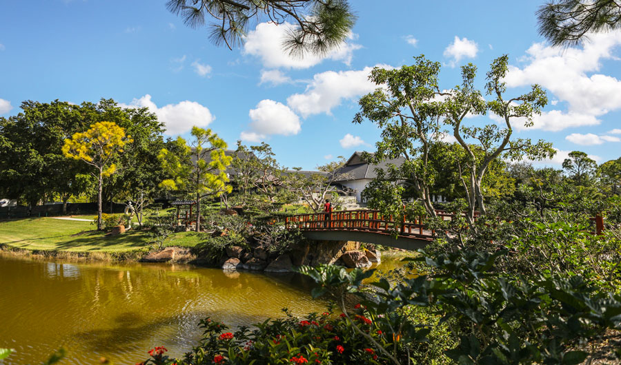 View of a lake in Morikami Garden and a bridge