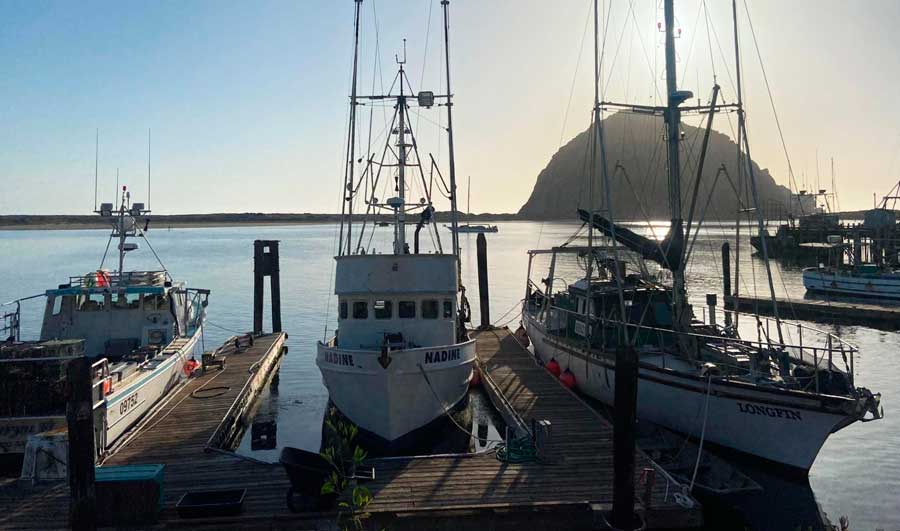 Boats on the Morro Bay harbor