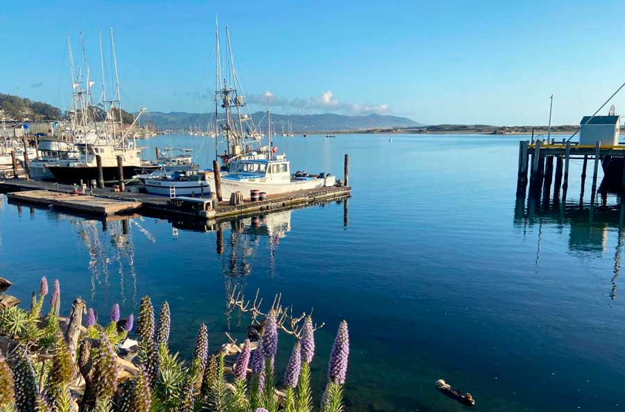 View of boats at the Morro Bay Harbor