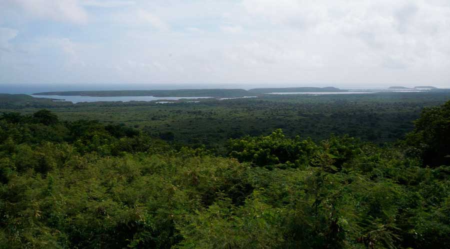 Overlooking view of the Mosquito Bay in Puerto Rico