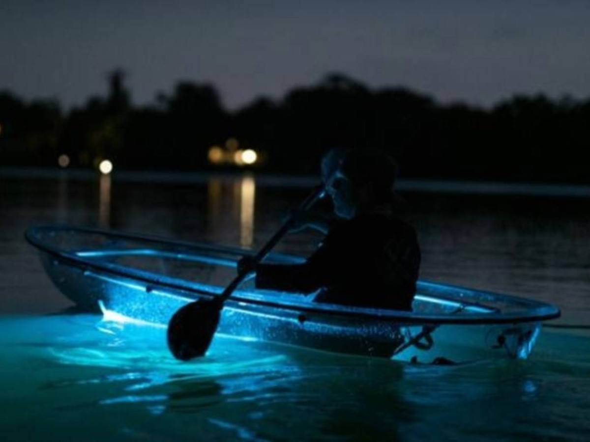 A man kayaking on the Mosquito Bay at night