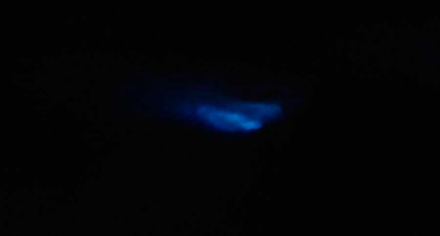 View from the Mosquito Bioluminescent Bay at night